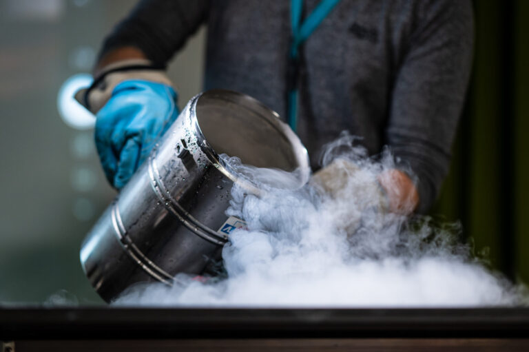 spectaculair-cap-sciences