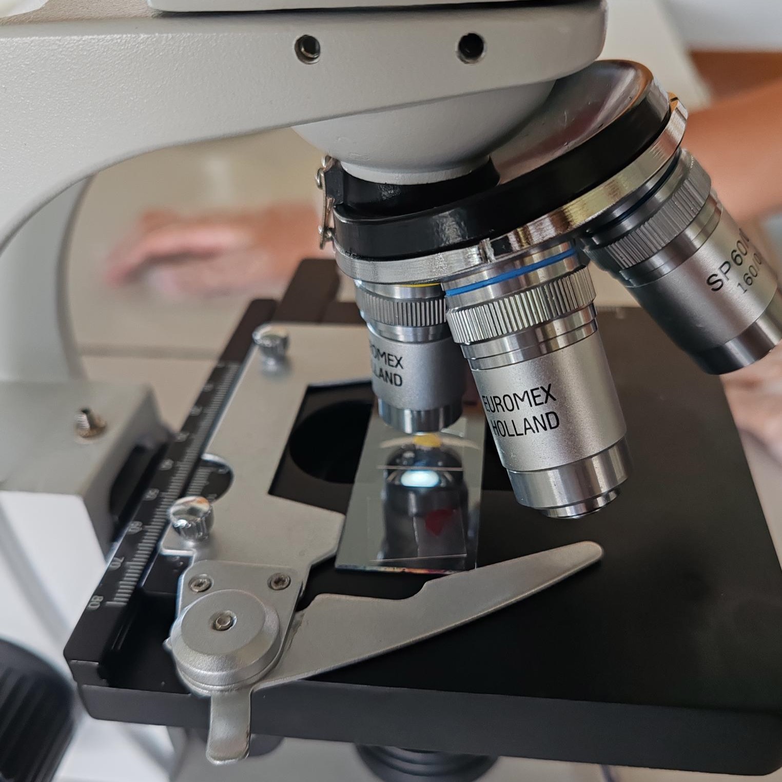 Affiche de ADN ? Elémentaire mon cher Watson