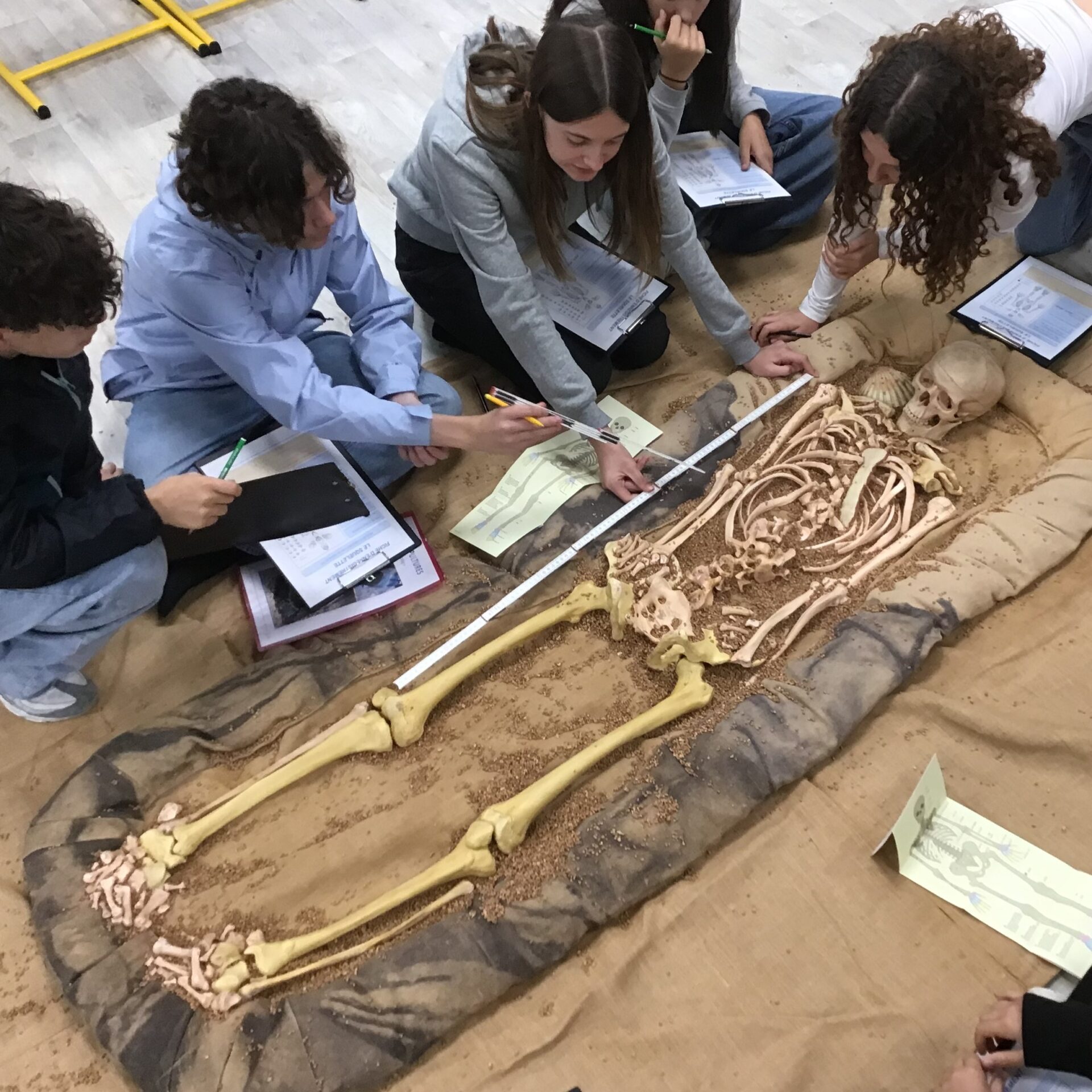 Affiche de Anthro&rsquo;potes