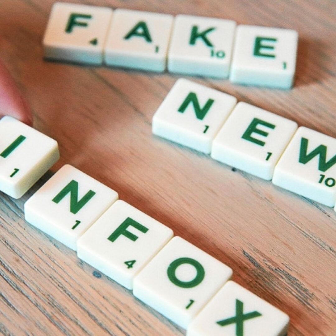 Affiche de Fake news : démêler le vrai du faux