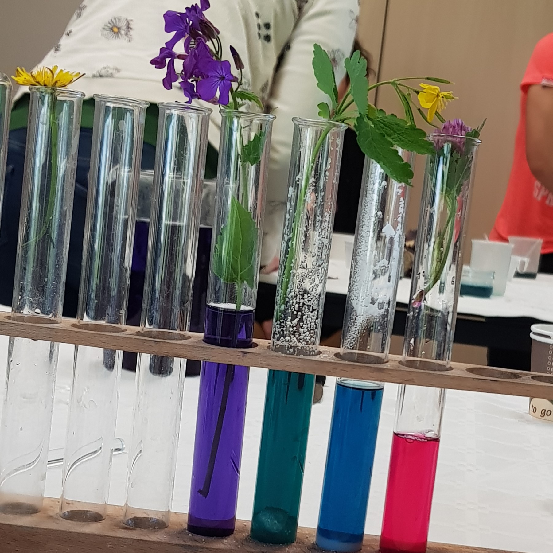 Affiche de Chimie des couleurs