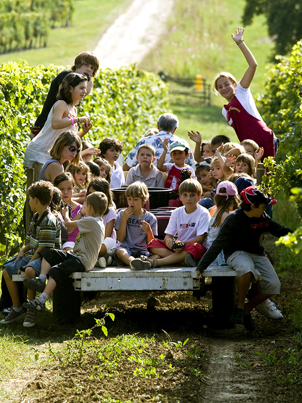 Vignette La Gironde Verte