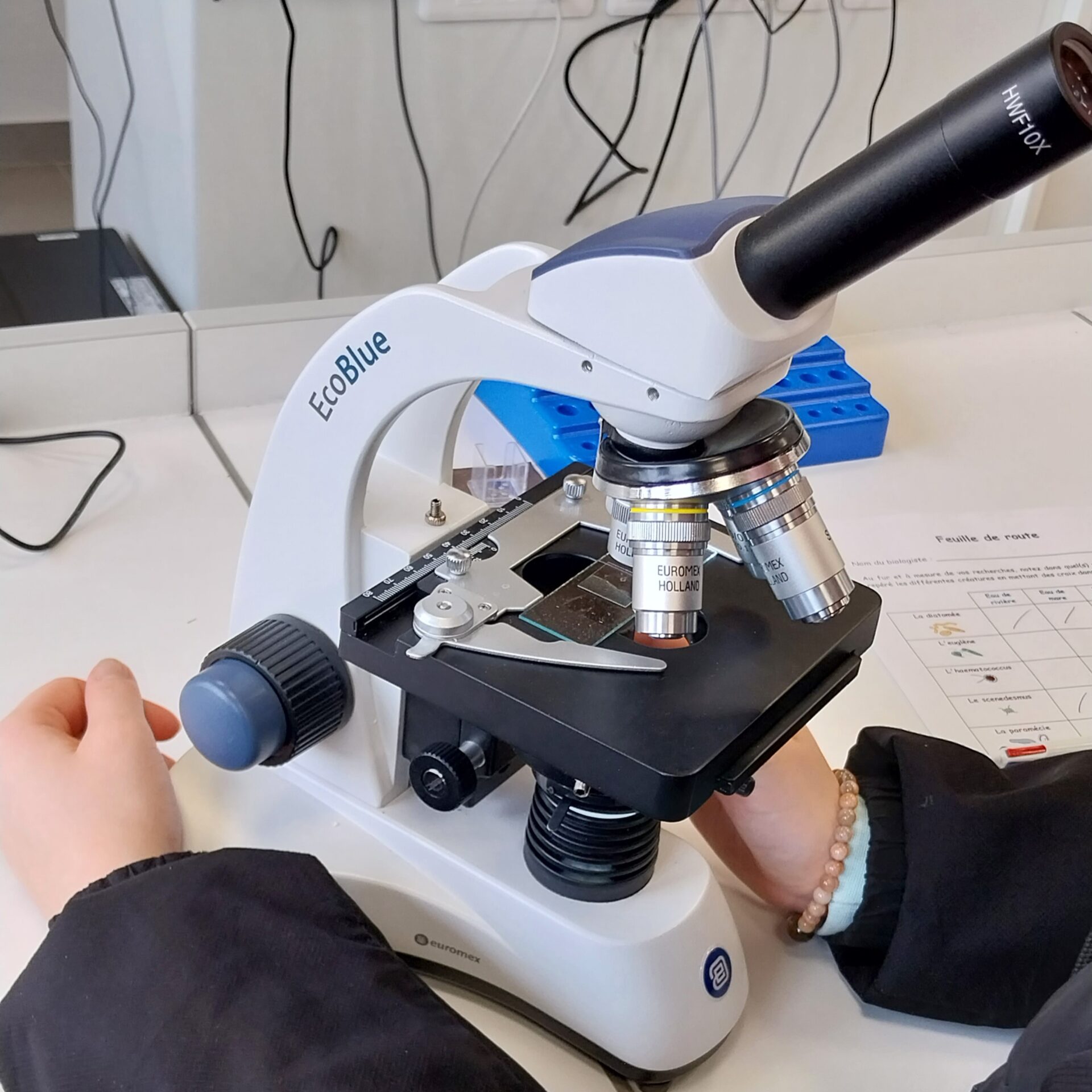 Affiche de Invisible biodiversité