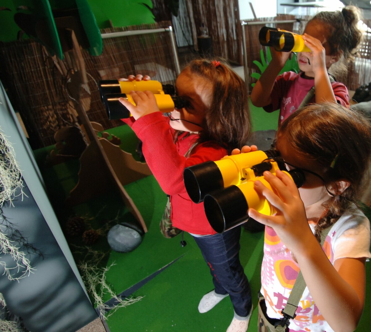 Affiche de Le petit explorateur des sciences