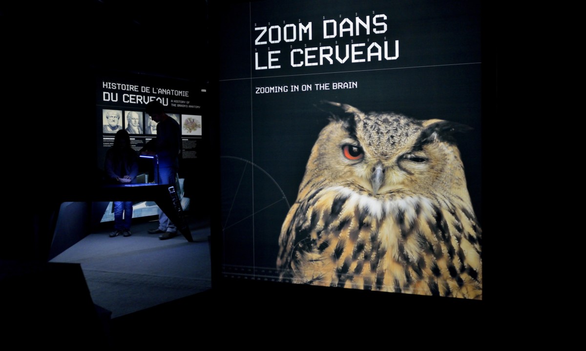 Pierre BAUDIER_2013_03_07-14-21-58-