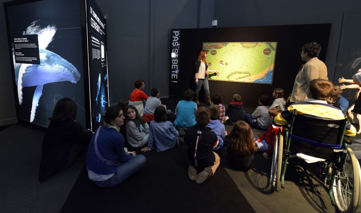 Pierre BAUDIER_2013_03_07-14-26-05-