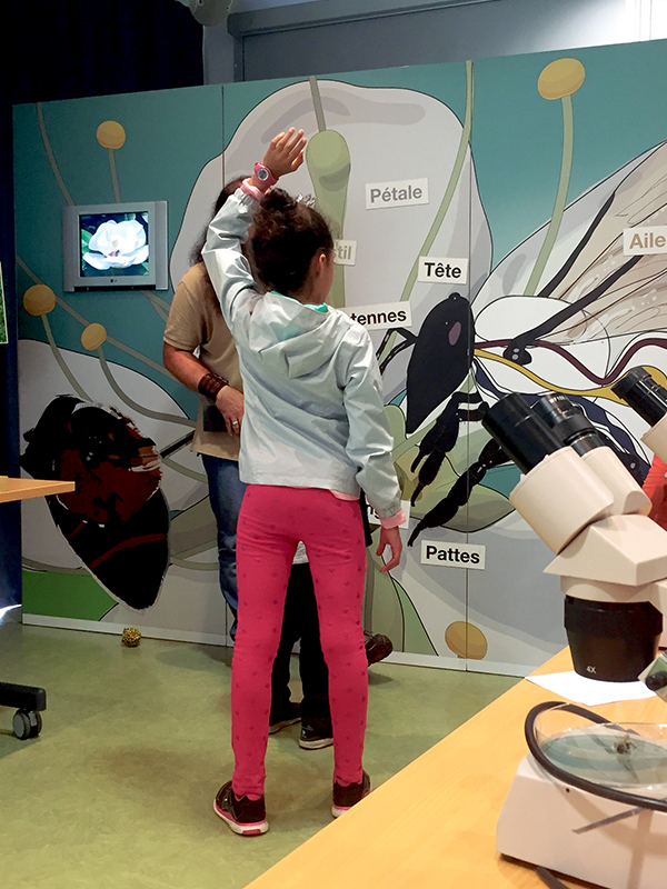 Affiche de Abeilles : butinage scientifique