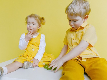 Affiche de Au village des garfilles