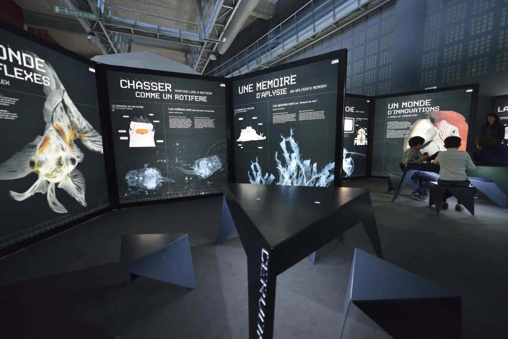 cervoramacapsciencesgalerie2_0