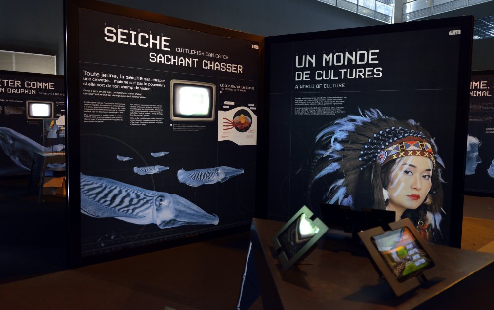 cervoramacapsciencesgalerie3_0