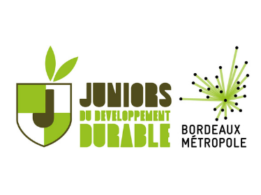 Vignette Juniors du Développement durable