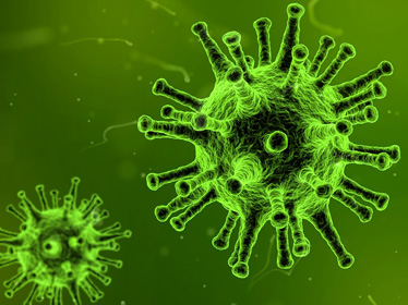 Vignette Microbes au quotidien