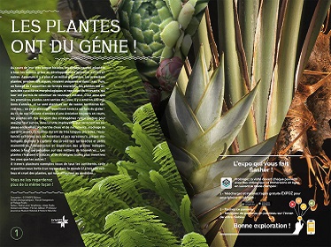 Affiche de Les plantes ont du génie