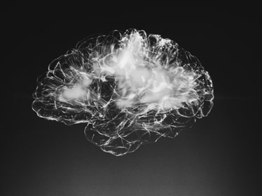 Affiche de Le cerveau à tous les âges