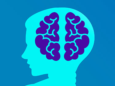 Affiche de Cerveau et addiction