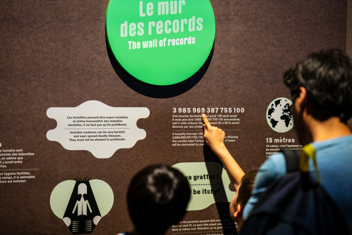 070623-CS-MiniMonstres#1-44