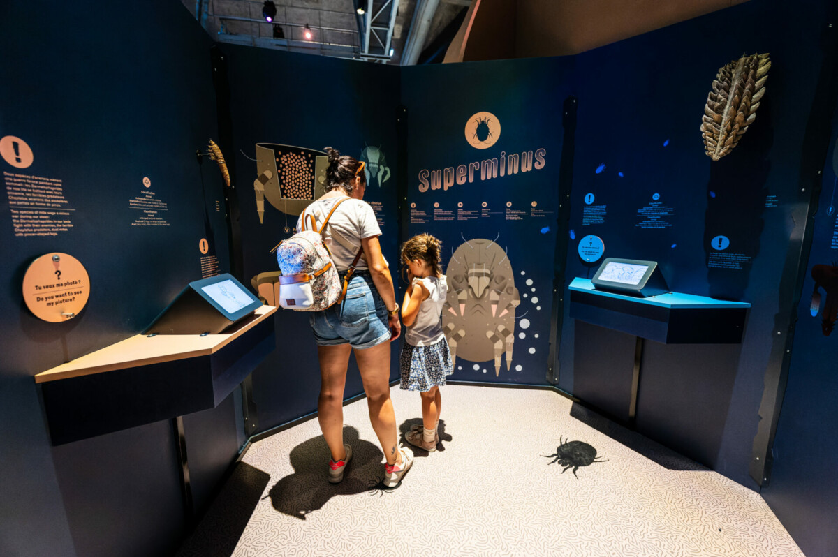 070623-CS-MiniMonstres#1-54