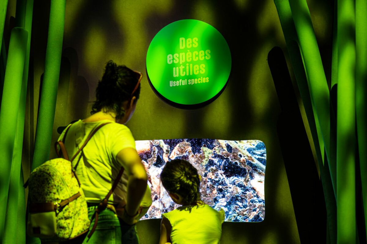 070623-CS-MiniMonstres#1-9