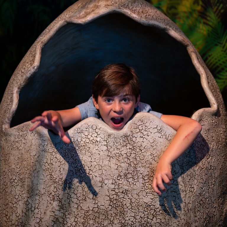 expo_dino_juin_2024_1