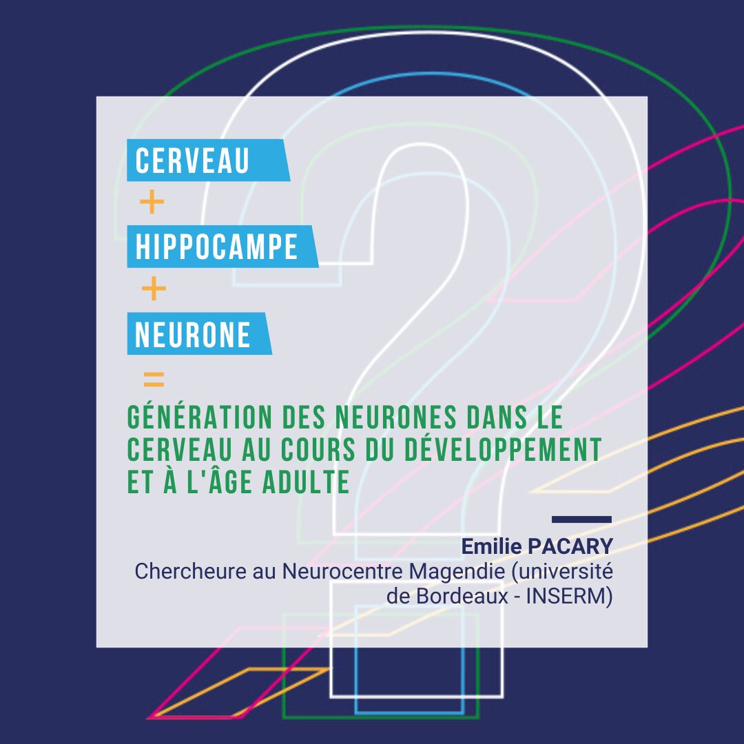 19_11_2023_Emilie PACARY