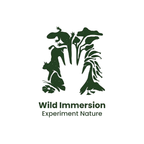 wild immersion