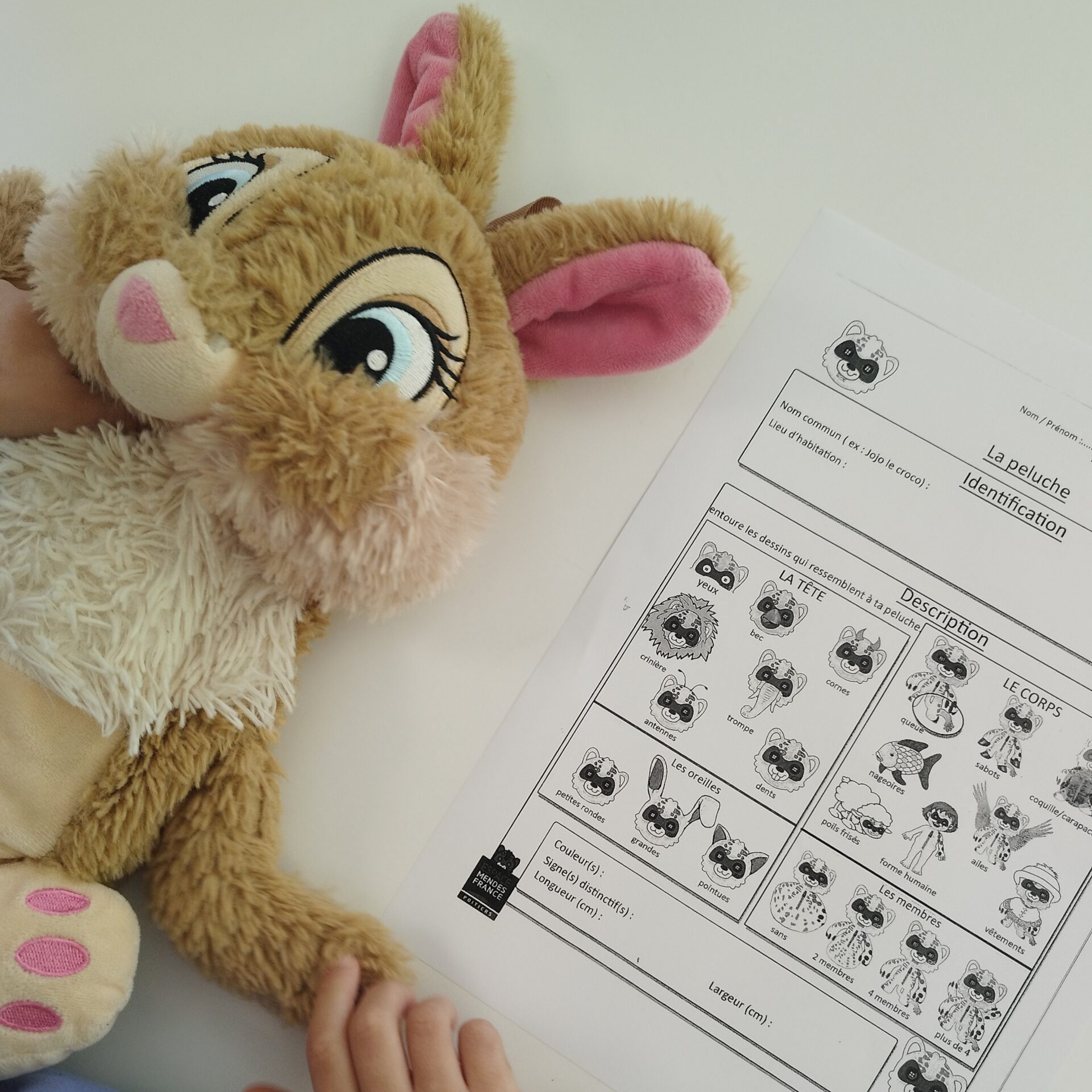 Affiche de Peluchologie : qui es-tu doudou ?