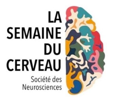 La semaine du cerveau