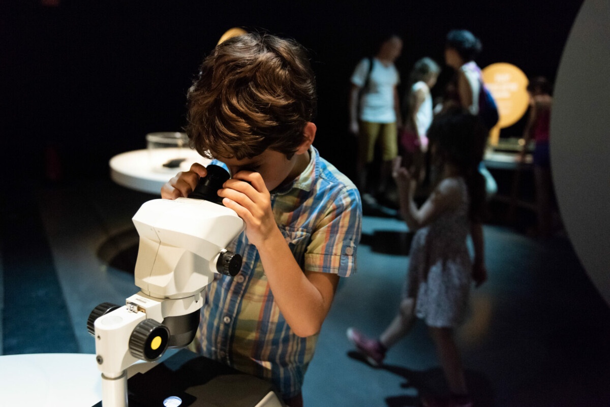 Affiche de Mini-monstres