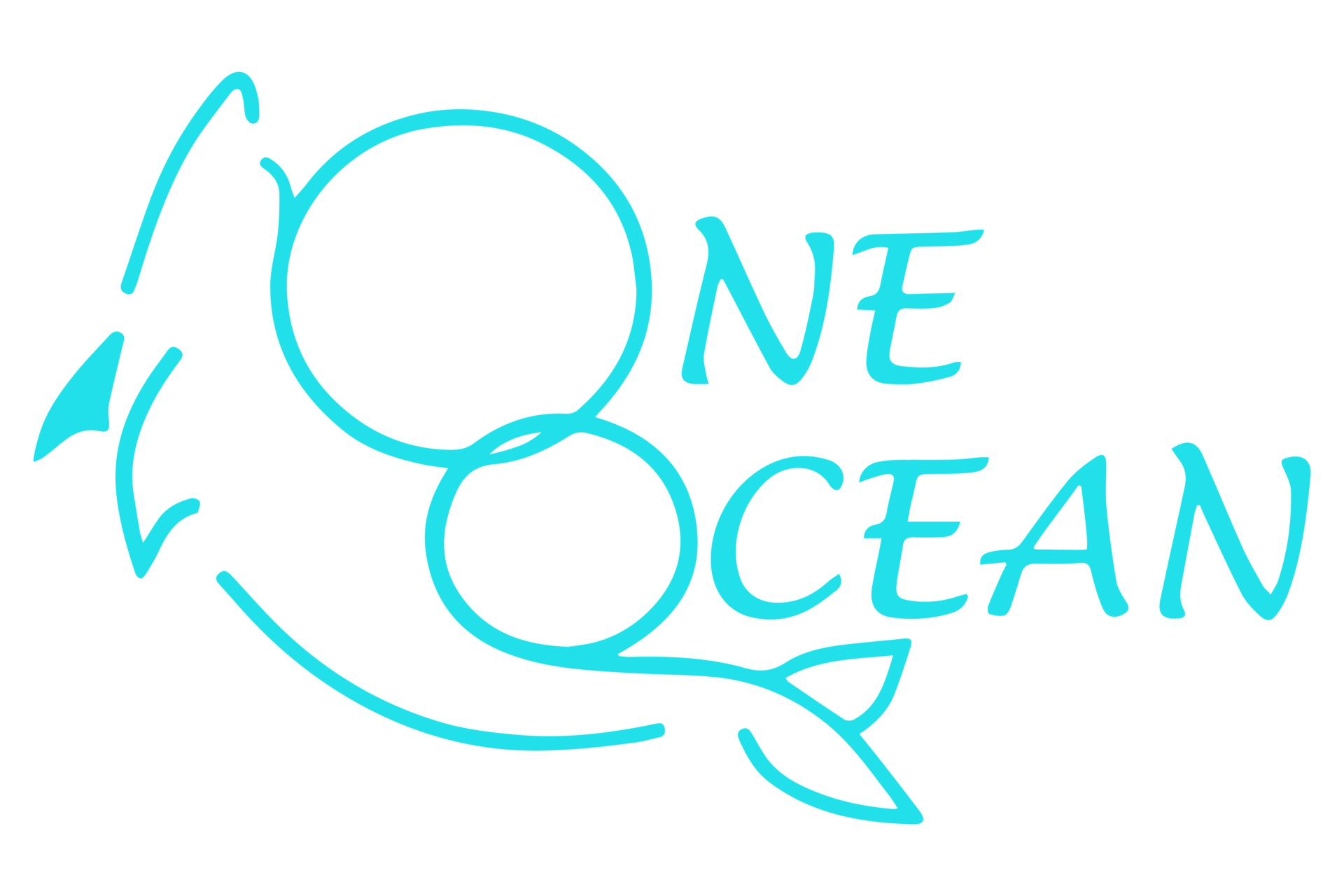 one ocean