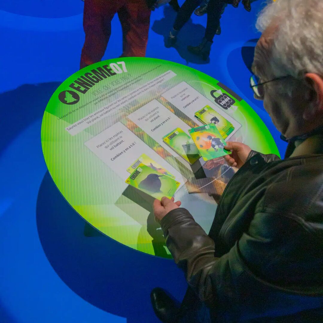 Affiche de Dodo – sur la piste de Raphus cucullatus