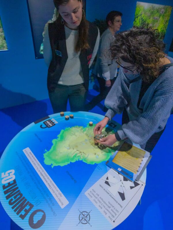 Vignette Dodo – sur la piste de Raphus cucullatus