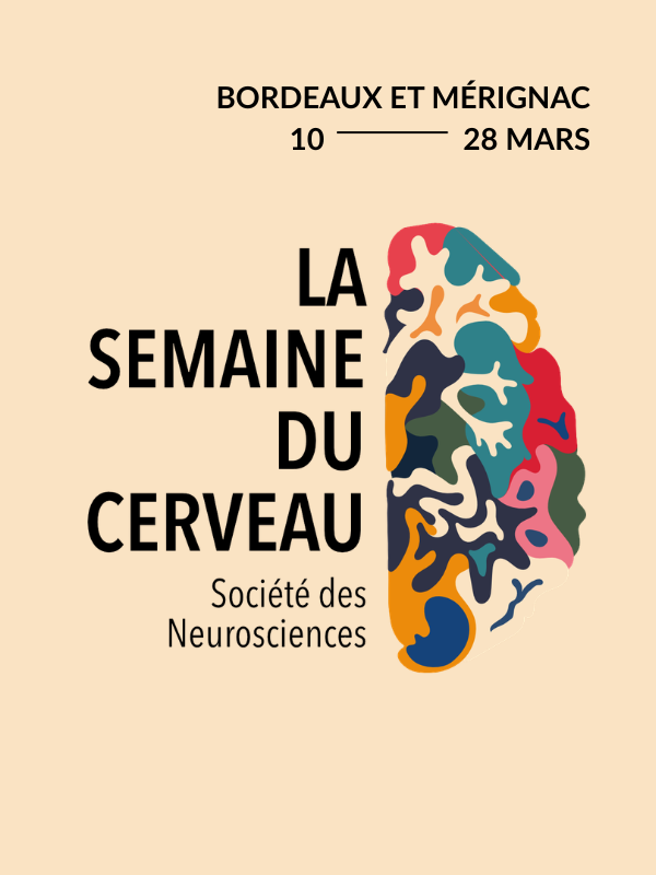 Vignette Semaine du cerveau 2026