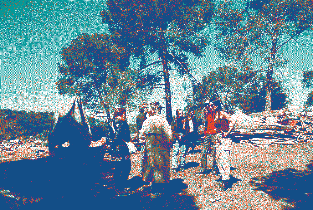 dither_it_D029125-R1-33-32A