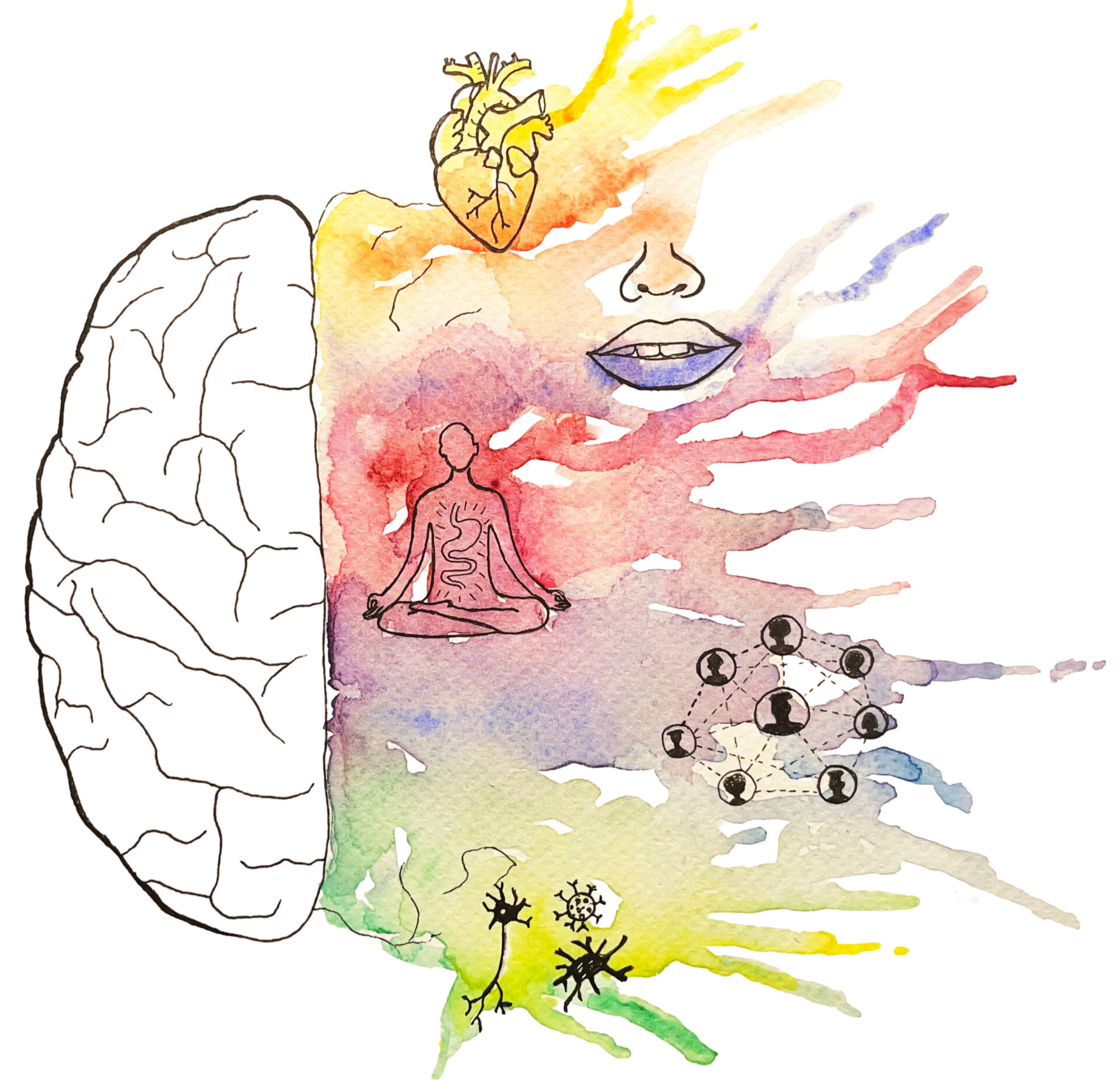 Affiche de Intéroception : quand le cerveau écoute l’intérieur du corps