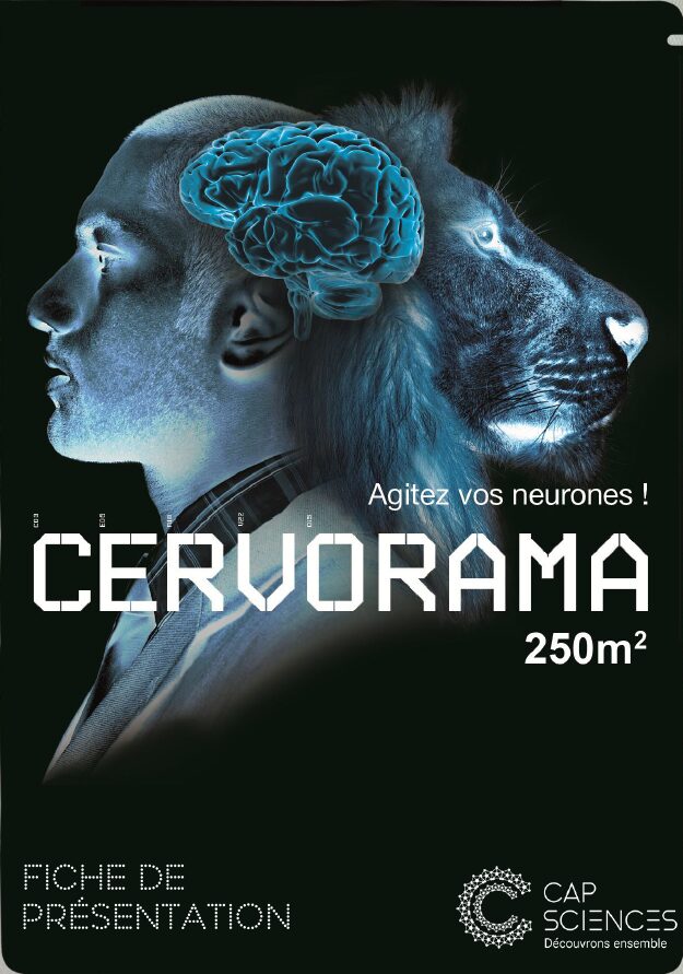 Affiche de Cervorama : agitez vos neurones !