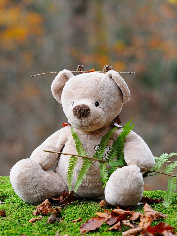 Vignette Charlie et la peluchologie