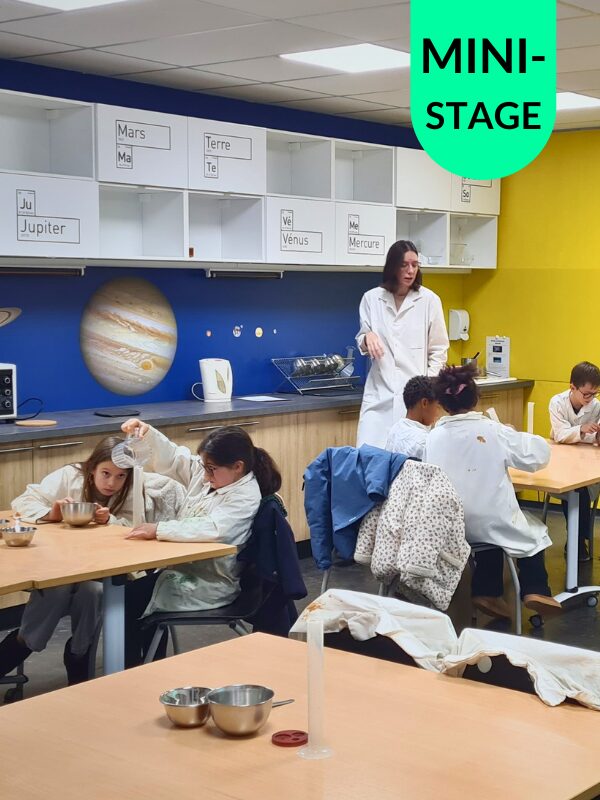 Vignette Mini-stage chimistes
