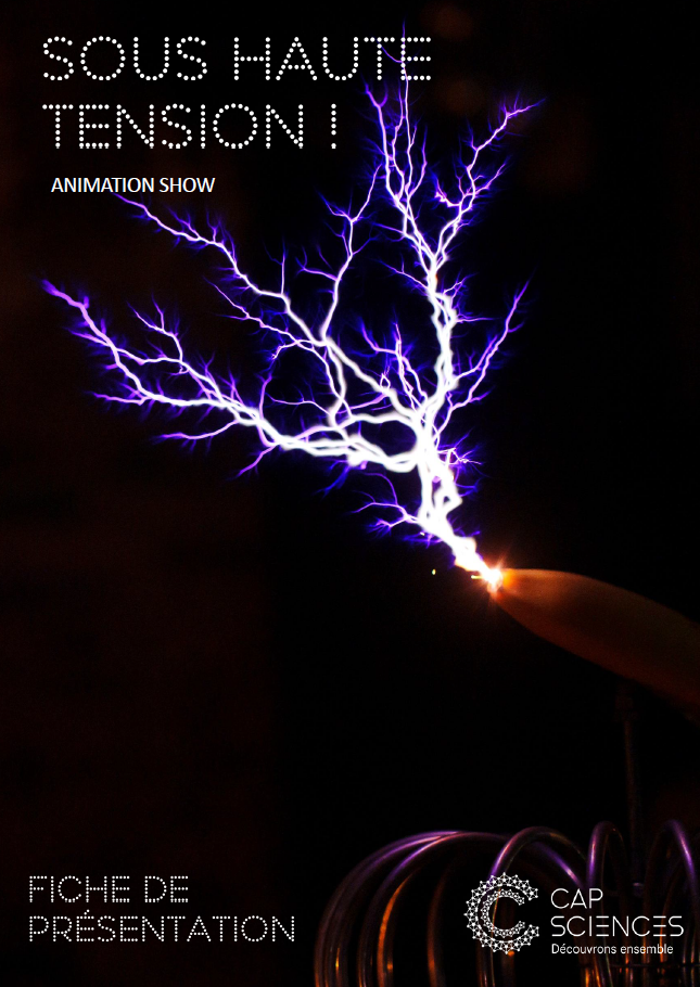 Affiche de Sous haute tension !