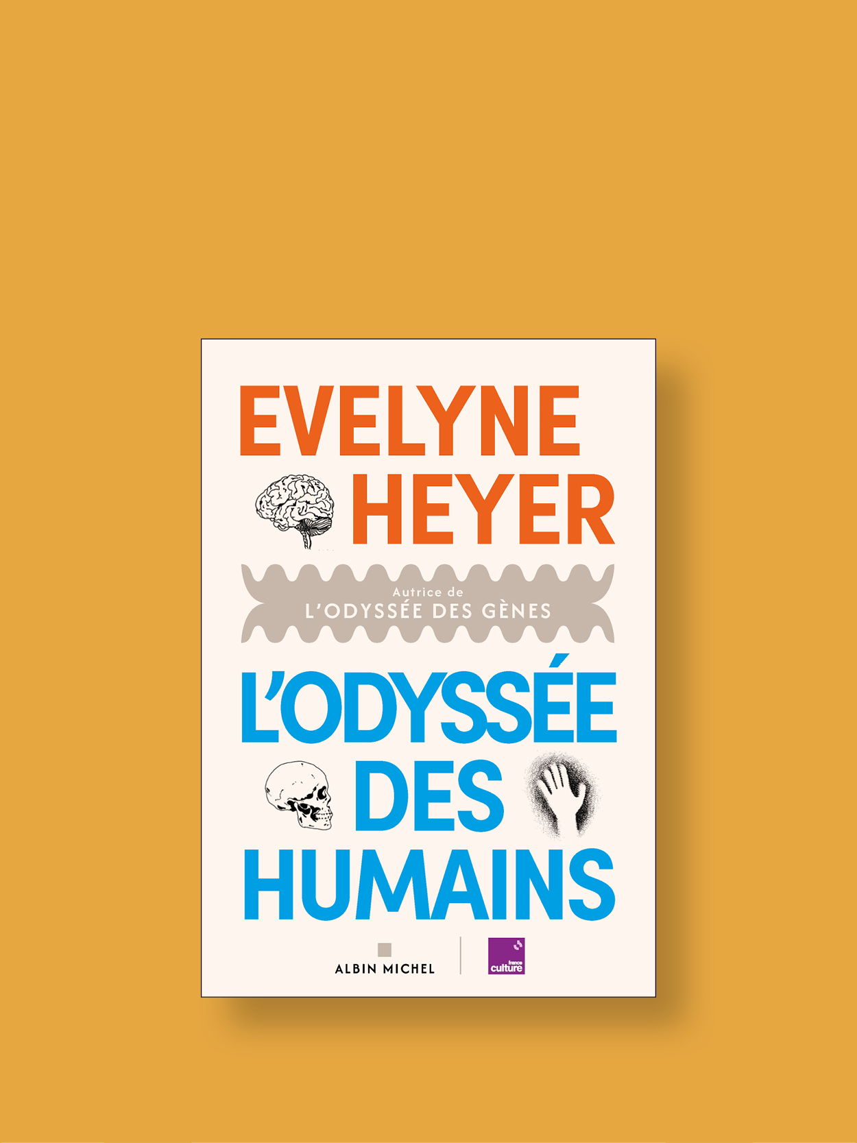 Vignette Rencontre ECHO avec Evelyne Heyer
