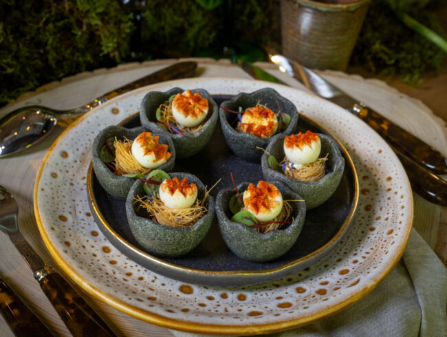 Exposition Dinosaures