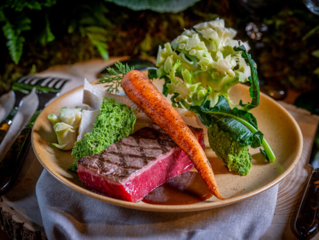 Exposition Dinosaures