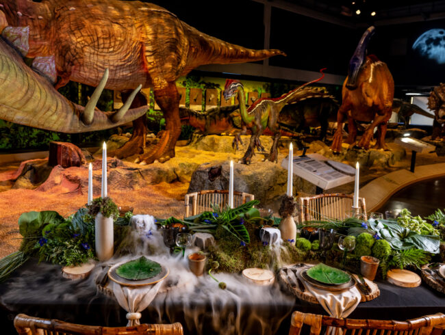 Exposition Dinosaures