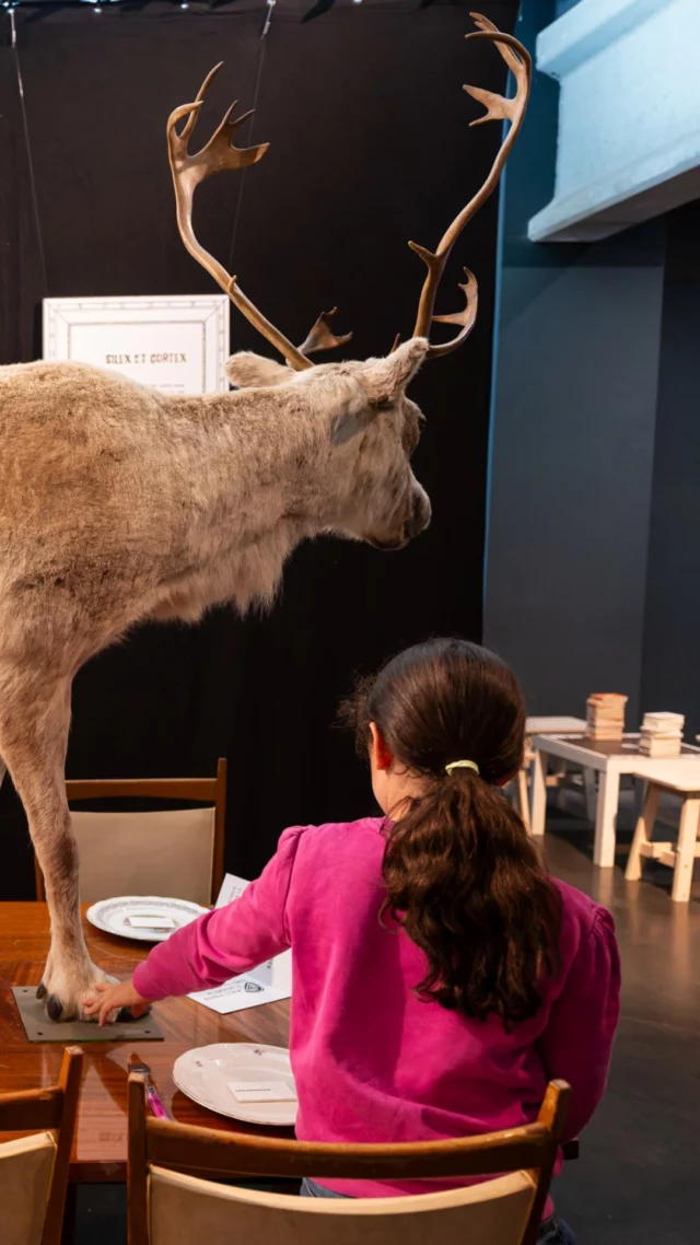 Le 8 mars est un rappel… 📅
Un rappel que les droits des femmes ne sont jamais totalement acquis.
Un rappel que l’égalité se construit chaque jour. ✊
Dans notre vie quotidienne, dans nos métiers, dans nos décisions, dans les opportunités.

Le 8 mars, c’est la journée des avancées 🚀
L’égalité progresse avec des actions : promouvoir les talents, donner la parole, ouvrir des portes. Refuser les inégalités et dire stop à l'autocensure.

Alors, on continue ! 💜