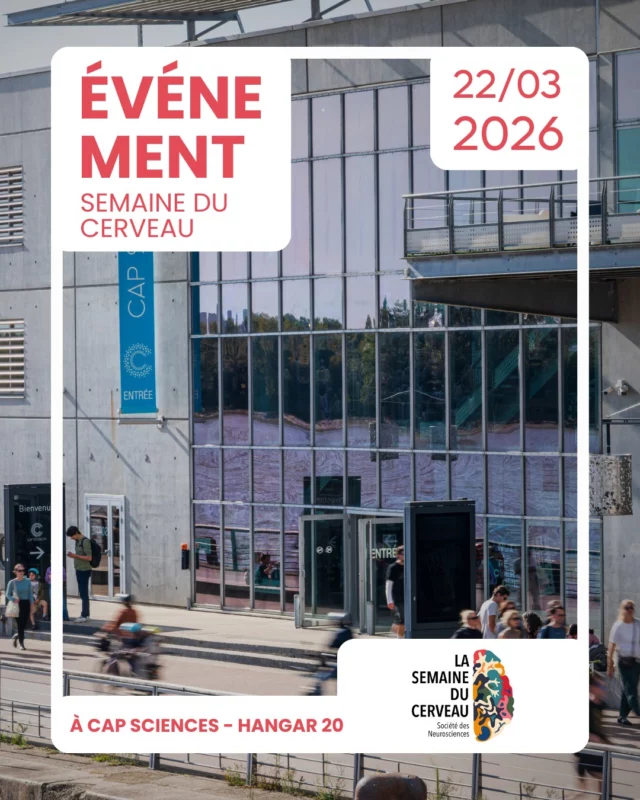 🧠 Et si vous testiez votre cerveau ?

À l’occasion de la Semaine du Cerveau 2026, Cap Sciences vous propose un après-midi pour découvrir, comprendre… et jouer avec les neurosciences !

✨ Au programme :
✔️ Un quiz pour tester vos connaissances
✔️ Le bureau des enquêtes avec un chercheur en neurosciences (saurez-vous deviner ses recherches ?)
✔️ Une conférence étonnante : le cerveau des astronautes est-il extraordinaire ? 🚀

Une occasion unique de rencontrer les acteurs de la recherche lors d’un événement accessible à toutes et tous !

📅 Dimanche 22 mars
🕑 14h30 → 18h (entrée libre et gratuite)
📍 Cap Sciences – Hangar 20

Venez en famille, entre amis ou en solo : la curiosité suffit pour participer ! 😉

📸 Gautier Dufau