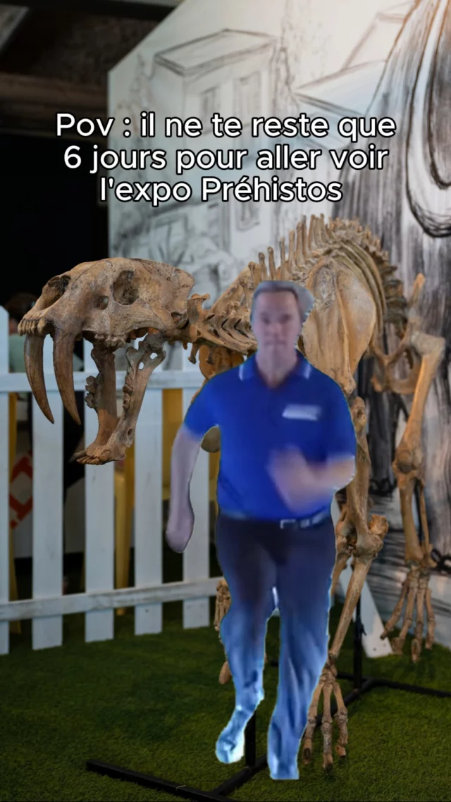 J-6 avant la fin de l’expo Bienvenue chez les Préhistos !
Après, c’est extinction. 🦖