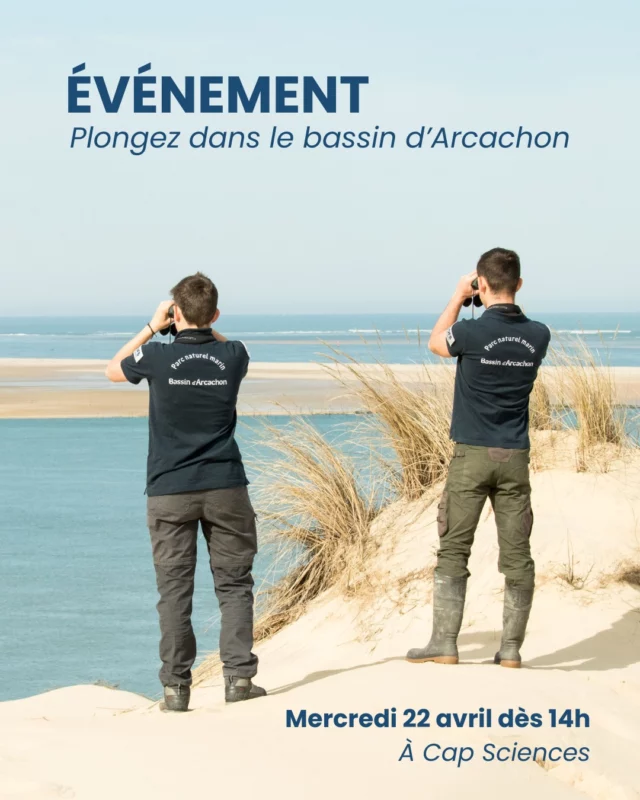 🪸 Plongez dans le Bassin d’Arcachon ! 🐟

Le saviez-vous ? Le Bassin d’Arcachon accueille la plus grande concentration d’hippocampes d’Europe !

🗓️ Cap Sciences vous donne rendez-vous ce mercredi 22 avril dès 14h, pour rencontrer les équipes du Parc Naturel du Bassin d’Arcachon et de @surfrider_gironde , autour d’une animation et d’une conférence !

Au programme 👇

Découverte des écosystèmes et leurs habitants, focus sur les oiseaux marins qui peuplent cet espace, échanges avec les équipes sur comment concilier activités humaine et préservation des écosystèmes.

L’entrée est gratuite. L'inscription pour la conférence de Surfrider est conseillée (lien en bio)

A mercredi pour une plongée sous-marine ! 👋