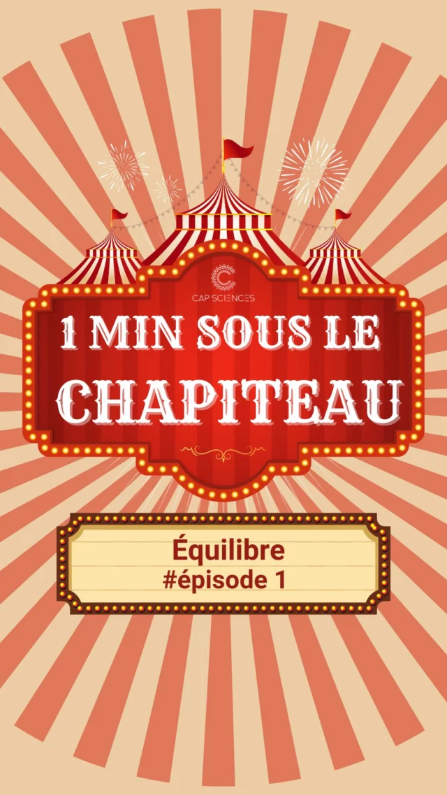 Qui a déjà marché sur un fil ici ? ✨