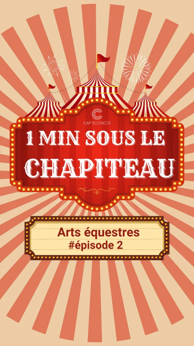 Pourquoi les artistes à cheval au cirque se penchent toujours vers l'intérieur ? 🐎