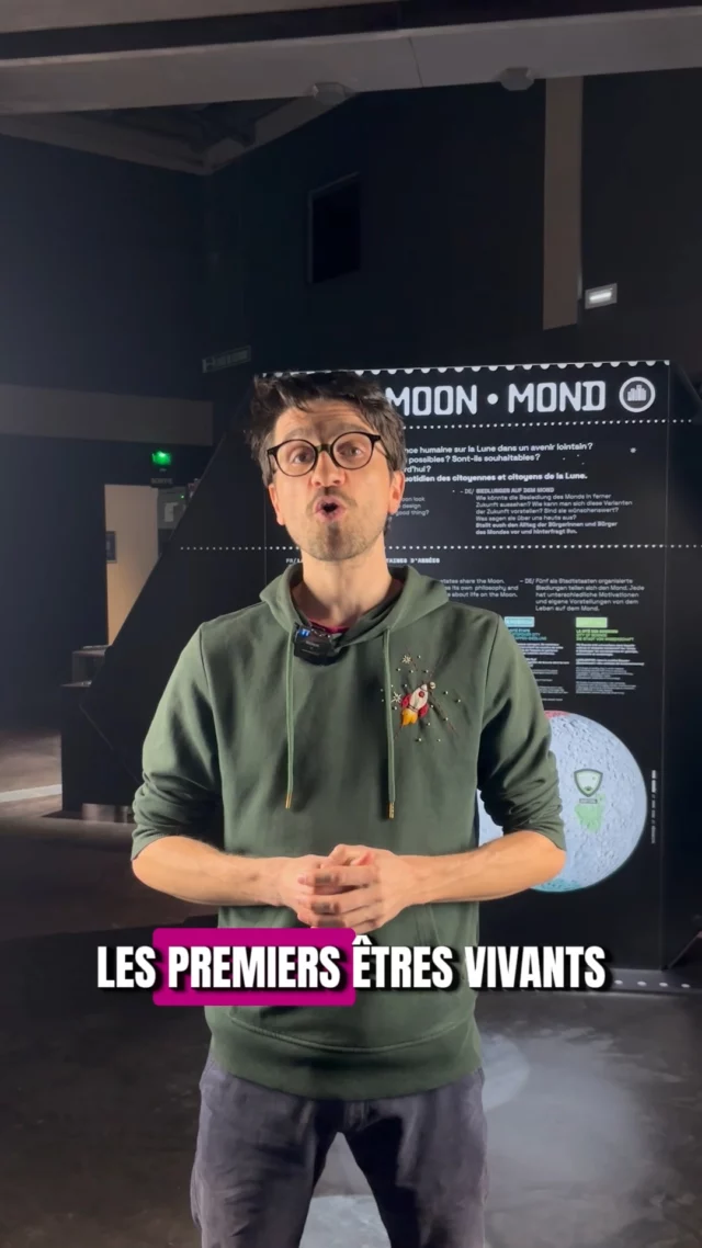 Avant les astronautes, ce sont des animaux qui ont été envoyés dans l’espace !  Mouches, chiens et singes ont permis de comprendre si on pouvait survivre là-haut 🚀

Sans eux, pas de mission spatiale comme aujourd’hui, vous le saviez ?