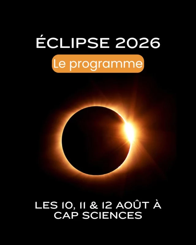 🌔 ÉVÈNEMENT SPÉCIAL ÉCLIPSE 2026 🌔

Cap Sciences vous donne rendez-vous les 10, 11 et 12 août 2026 au Hangar 20, pour 3 jours d'animations à l'occasion de l'éclipse solaire !

Du Stellarium, en passant par le Moon Quiz jusqu'à la création de boîtes à éclipse, l'événement est gratuit et libre d'accès pour tous 🤗

Si vous souhaitez regarder l'éclipse solaire en toute sécurité le 12 août, retrouvez à la boutique de Cap Sciences des kits éclipse solaire certifiées 🕶️

On vous attend nombreux pour cette évènement marquant du mois d'août ! 👋